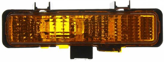 Picture of Turn Signal Light