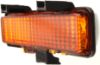 Picture of Turn Signal Light