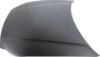 Picture of Hood