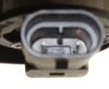 Picture of Fog Light