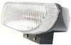 Picture of Fog Light