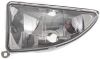 Picture of Fog Light