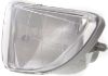 Picture of Fog Light