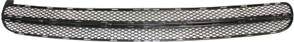 Picture of Bumper Grille