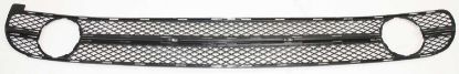Picture of Bumper Grille