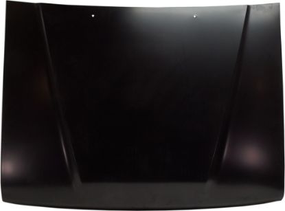 Picture of Hood