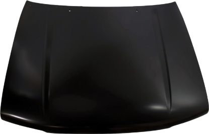 Picture of Hood