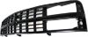 Picture of Grille Assembly