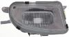 Picture of Fog Light