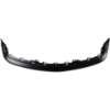 Picture of Bumper
