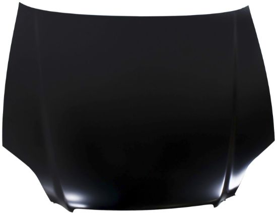 Picture of Hood