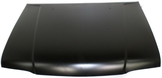 Picture of Hood