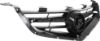 Picture of Grille Assembly