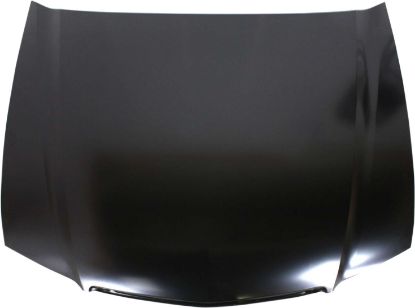 Picture of Hood