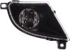 Picture of Fog Light