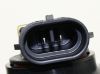 Picture of Fog Light