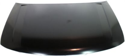 Picture of Hood