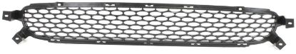 Picture of Bumper Grille