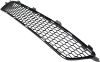 Picture of Bumper Grille