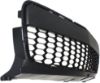 Picture of Bumper Grille