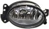 Picture of Fog Light
