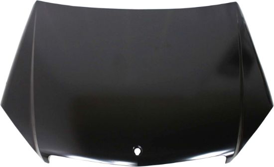 Picture of Hood