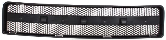 Picture of Bumper Grille