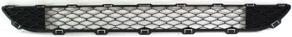 Picture of Bumper Grille