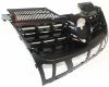Picture of Grille Assembly