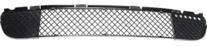 Picture of Bumper Grille
