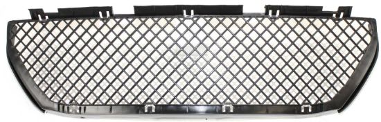 Picture of Bumper Grille