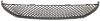 Picture of Bumper Grille