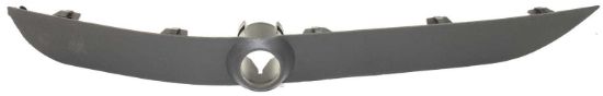 Picture of Bumper Trim