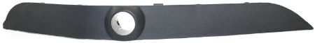 Picture for category LT Front bumper molding