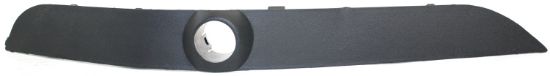 Picture of Bumper Trim