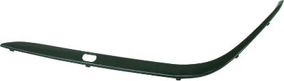 Picture of Bumper Trim