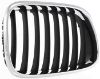 Picture of Grille Assembly