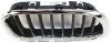 Picture of Grille Assembly