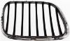 Picture of Grille Assembly