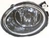Picture of Fog Light