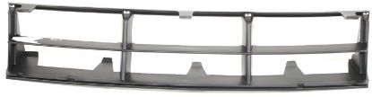 Picture of Bumper Grille