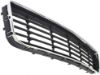 Picture of Bumper Grille