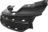 Picture of Grille Assembly