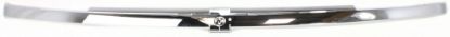 Picture of Grille Trim