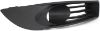 Picture of Fog Light Trim