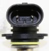 Picture of Fog Light