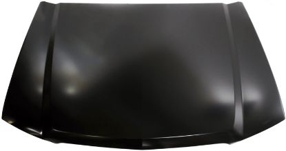Picture of Hood