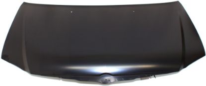 Picture of Hood