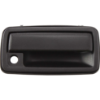 Picture of Exterior Door Handle