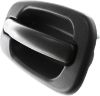 Picture of Exterior Door Handle